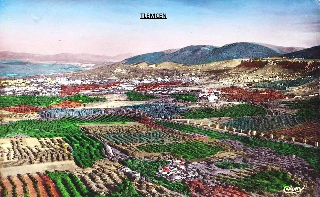 Tlemcen 208 .jpg